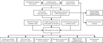 Identification of an unfolded protein response-related signature for predicting the prognosis of pancreatic ductal adenocarcinoma